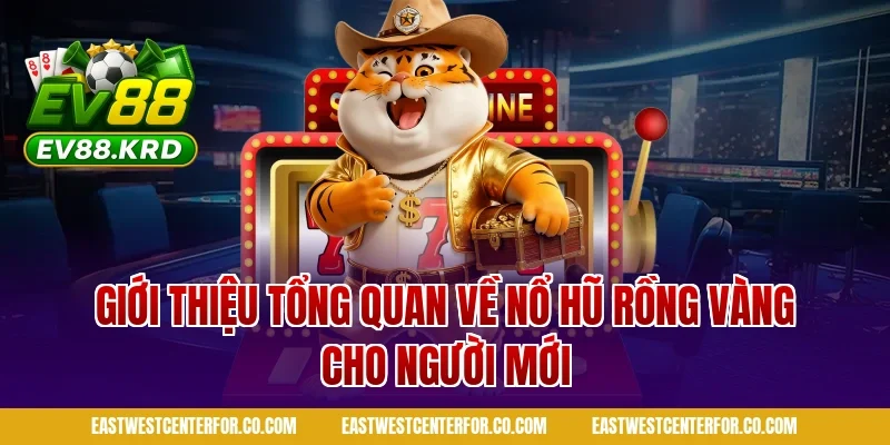 Giới thiệu tổng quan về nổ hũ rồng vàng cho người mới